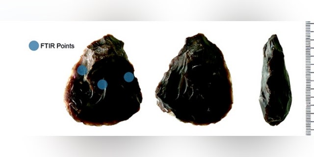 500,000-year-old hand axes discovered in a quarry in Israel still had traces of elephant fat clinging to them. The ancient tools show that humans used these tools to butcher animals.