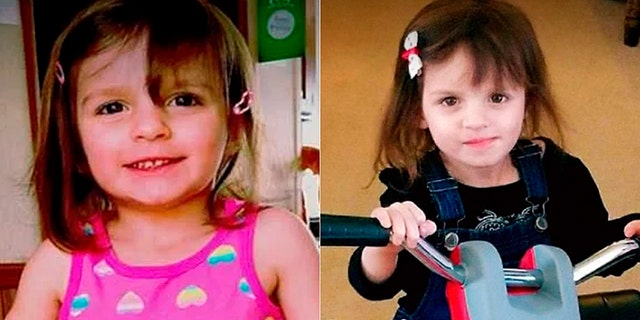 Hannah Wesche, 3, of Hamilton Township, Ohio, suffered severe brain damage after being beaten by her babysitter who was arrested, authorities said.