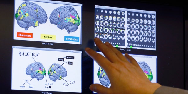Nov. 26, 2014: Leila Wehbe, a Ph.D. student at Carnegie Mellon University in Pittsburgh, displays images that used brain scans made from volunteers in a recent experiment while in her office. Images show a combination of data and graphics compiled as each word of a chapter of"Harry Potter and the Sorcerer's Stone"was flashed for half a second onto a screen inside a brain-scanning MRI machine.