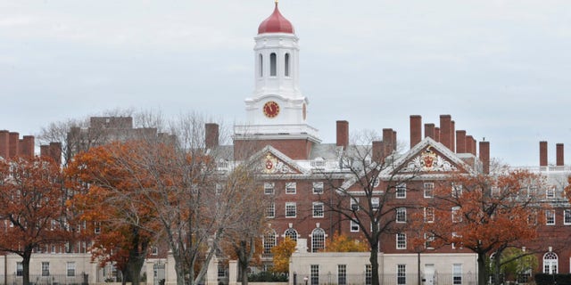 FILE - This Nov. 13, 2008 file photo shows the campus of Harvard University in Cambridge, Mass. The Ivy League school is the alma mater for seven chief executives who led their companiesâ IPOs in 2014, more than twice the amount of the next-highest schools in the rankings, according to figures from Equilar, an executive compensation data firm. (AP Photo/Lisa Poole, File)