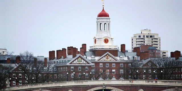 Activist groups released a report critical of Harvard University's billion-dollar investments in farmland around the world.