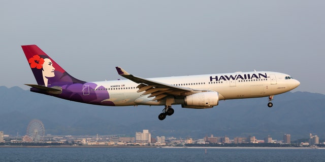 The Federal Aviation Administration continues to investigate the incident.