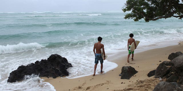 The state's health department has said that rising nitrate levels linked to the cesspools, as well as nitrogen and phosphorus, "can disrupt the sensitive ecosystems of Hawaii."