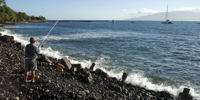 hawaii fisherman reuters