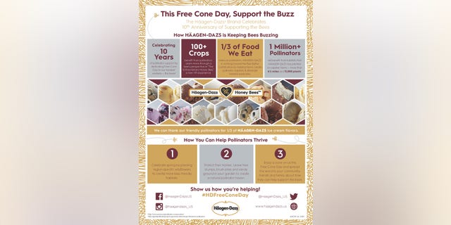 Bees are an important part of the major ice cream company, but are disappearing at alarming rates, the brand says.