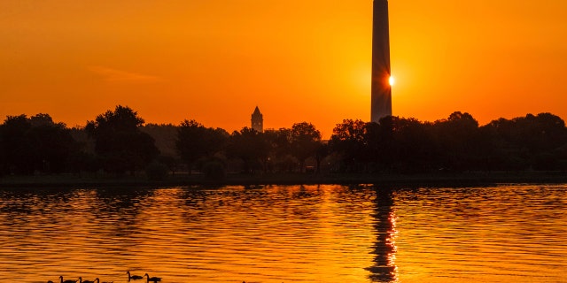 The sun peaks around the Washington Monument as geese float down the Potomac River at daybreak Sunday, July 1, 2018, in Washington on what is expected to be another hot day in the Nation's Capital.