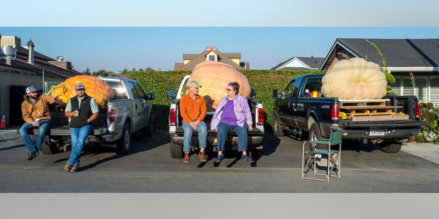 Joel and Mari Lou Holland arrived for the competition with the 2,363-pound pumpkin on the back of a truck.