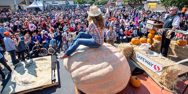 Cindy Tobek of Olympia, Wash., sits atop her second-place 2002-pound pumpkin at the 44th World Championship Pumpkin Weigh-Off.