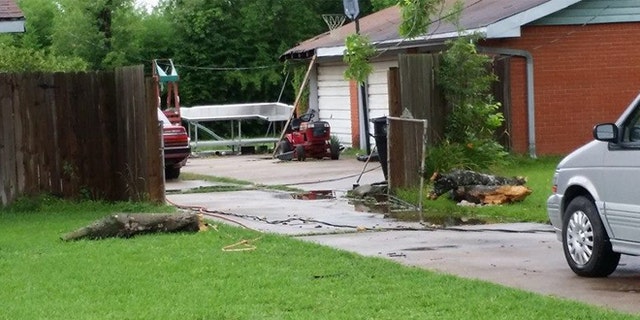 Police say a boy witnessed as his 52-year-old mother was struck by a fallen tree branch that killed her following severe weather that impacted much of southeast Texas.