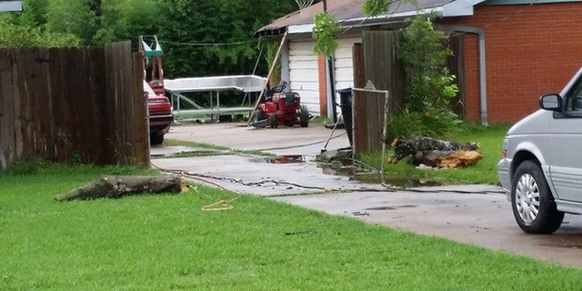 Police say a boy witnessed as his 52-year-old mother was struck by a fallen tree branch that killed her following severe weather that impacted much of southeast Texas.