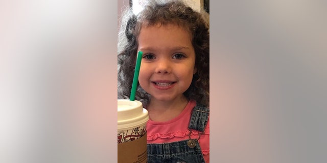 Heidi Renae Todd , 4, was reported missing from her home in South Carolina on Tuesday.