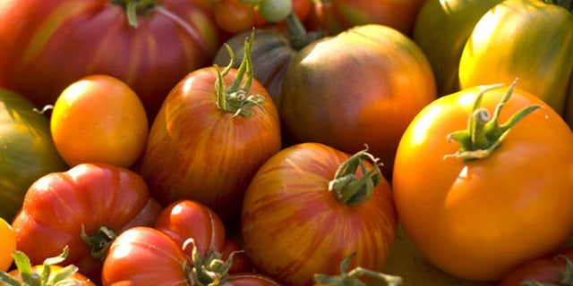 Several heirloom tomatoes