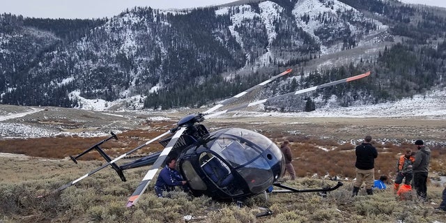 FILE Feb. 12, 2018: A research helicopter was brought down by a leaping elk in the mountains of eastern Utah. Wasatch County authorities say the elk jumped into the chopper's tail rotor as the craft flew low, trying to capture the animal with a net. The two people on board weren't seriously hurt, but wildlife officials say the elk died of its injuries. The state-contracted Australian crew had been trying to capture and sedate the elk so they could collar it and research its movements about 90 miles east of Salt Lake City.