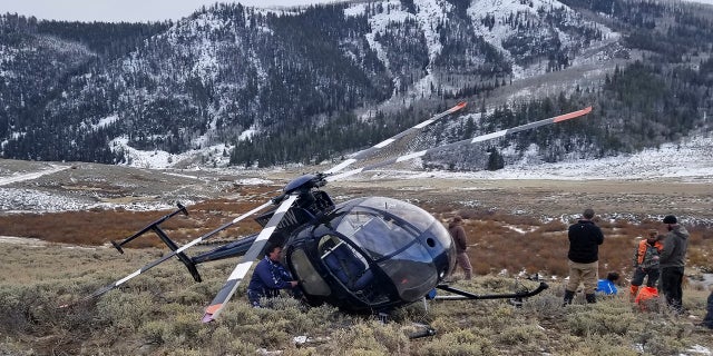FILE Feb. 12, 2018: A research helicopter was brought down by a leaping elk in the mountains of eastern Utah. Wasatch County authorities say the elk jumped into the chopper's tail rotor as the craft flew low, trying to capture the animal with a net. The two people on board weren't seriously hurt, but wildlife officials say the elk died of its injuries. The state-contracted Australian crew had been trying to capture and sedate the elk so they could collar it and research its movements about 90 miles east of Salt Lake City.