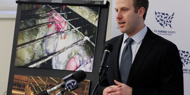 April 12: Josh Balk, a spokesman for The Humane Society of the United States, speaks during a news conference in Philadelphia.
