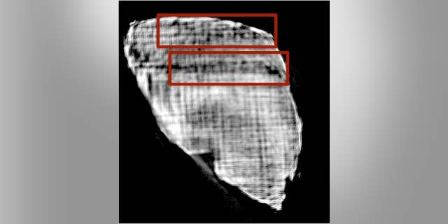 Hundreds of rolled, charred papyrus scrolls that were buried in ash in Herculaneum after the eruption of Mount Vesuvius in A.D. 79 could finally be read, thanks to a new technique that uses X-ray tomography. Here, letters from one of the interi