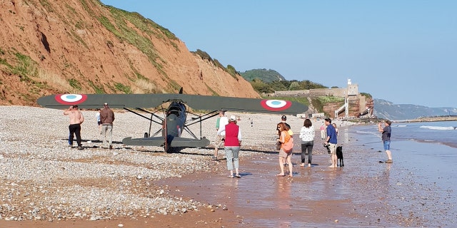 Onlookers and their dogs were able to clear out of the plane's path before Rockey set it down on the beach in Sidmouth, Devon.