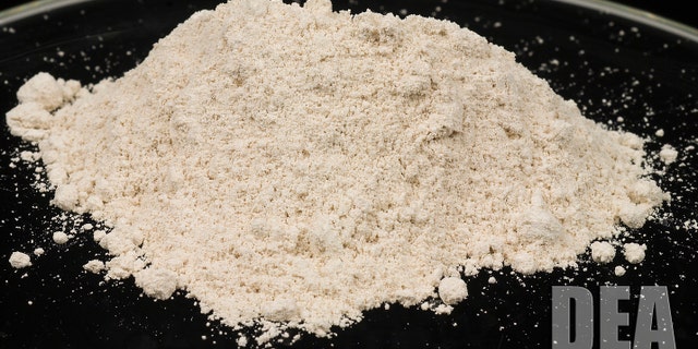 Powdered heroin is pictured in this undated handout photo courtesy of the United States Drug Enforcement Administration.
