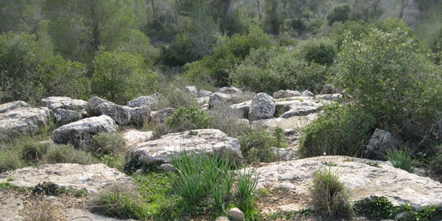 Wilson and Luken were hiking in this area, just outside of Jerusalem, when they were attacked.