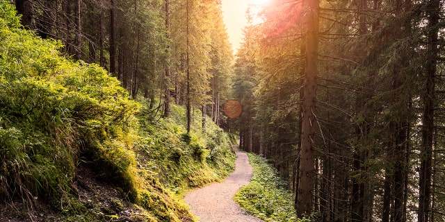Two people were killed and their 4-year-old son injured after a hiking accident in New York