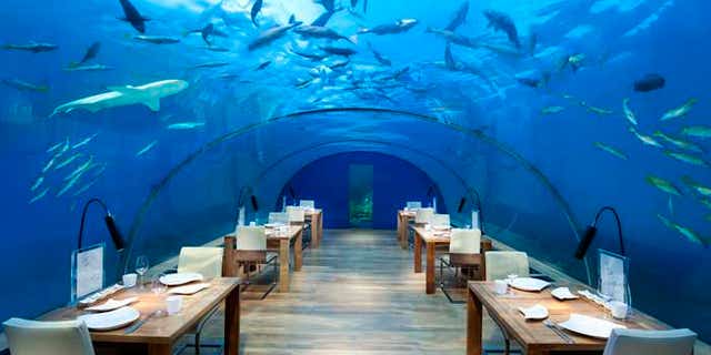Dine below the waves in the world's only glass undersea restaurant.