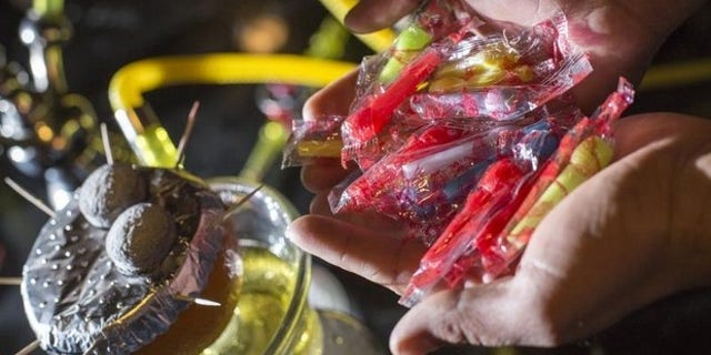 Studies show more young people are getting hooked on hookah. (AP Photo/Detroit Free Press, Jarrad Henderson)