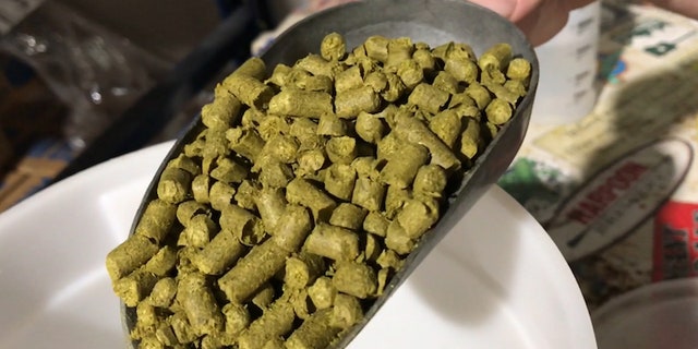 The two breweries use hops that have been condensed into what they describe as "rabbit food pellets."