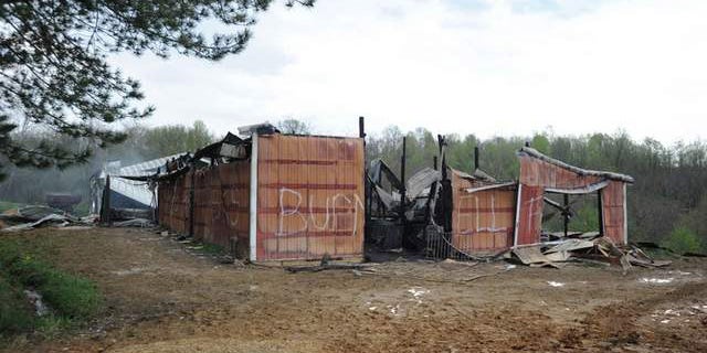 Eight horses, including a newborn and one ready to give birth, were killed in the barn fire in McConnelsville (Chris Crook/Times Recorder).