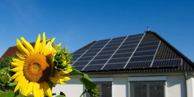 how-to-green-your-home