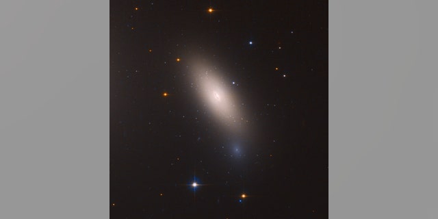 This Hubble Space Telescope image shows the galaxy NGC 1277, which is unique in that it is considered a relic of what galaxies were like in the early universe. NGC 1277 is composed exclusively of aging stars that were born 10 billion years ago.