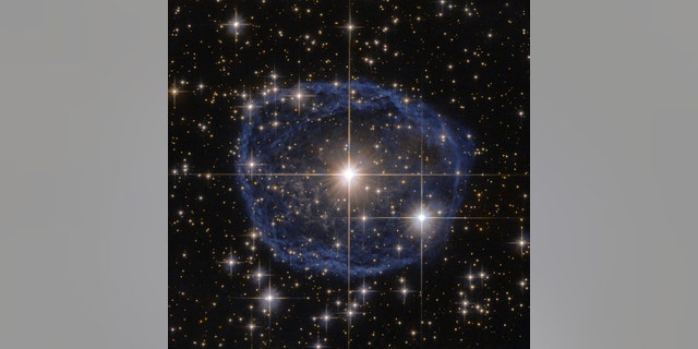 WR 31a (ESA/Hubble & NASA, Acknowledgement: Judy Schmidt)