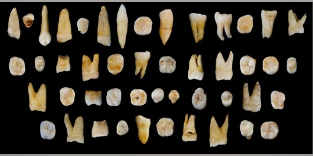 Scientists discovered 47 teeth from modern humans in Fuyan Cave in southern China's Hunan province that date back at least 80,000 years.