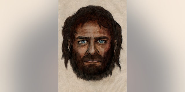 An illustration of what the ancient hunter-gatherer may have looked like