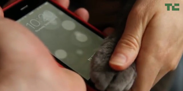 A screengrab of a video from the TechCrunch site, where a blogger configured the fingerprint reader on a new iPhone to respond to a cat's pawprint.