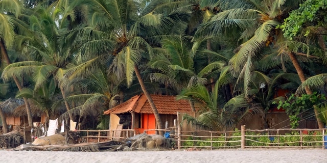 scenery at Agonda Beach in Goa, India