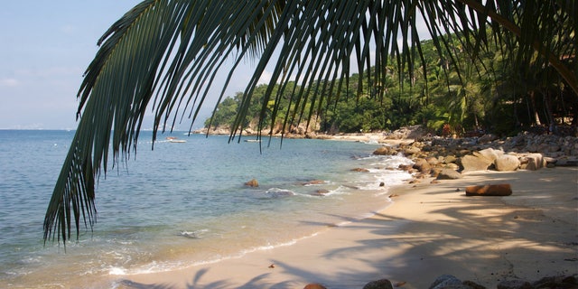 3 Reasons Puerto Vallarta Is Mexico S Best Beach Town Fox News