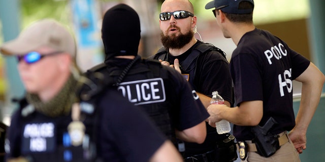ice arrests 928
