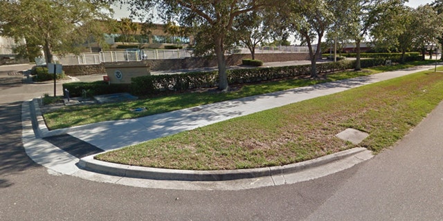 Immigration and Customs Enforcement (ICE) offices are housed at a Tampa building owned by a St. Petersburg businessman.