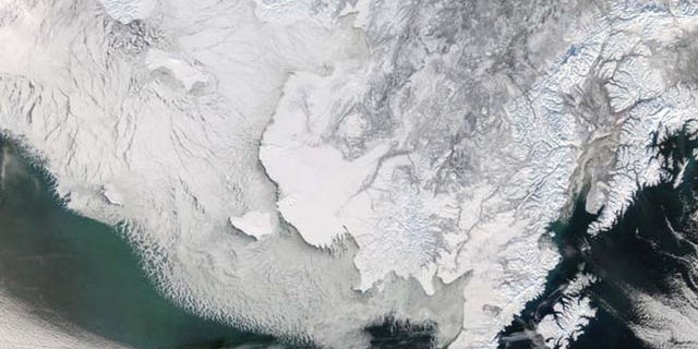 Canadian researchers discovered plants that grew in areas now covered by glaciers can now grow again.