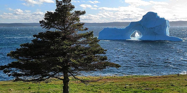 The iceberg has been dubbed the "beauty berg" (Mark Gray)
