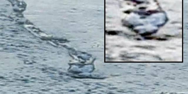 A YouTube video purportedly shows a legendary Icelandic sea monster -- .