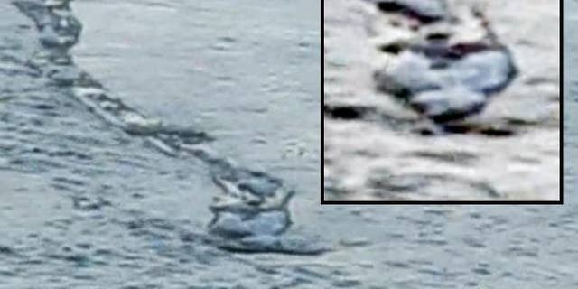 A YouTube video purportedly shows a legendary Icelandic sea monster -- .