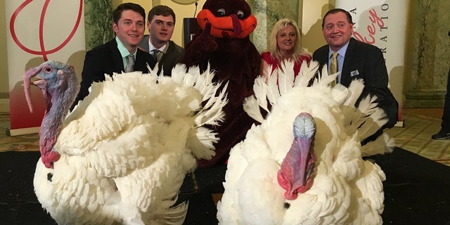 Wishbone and Drumstick, the 2017 Presidential Flock, pose for photos during a media day at the Willard InterContinental Hotel in Washington, D.C., ahead of their presidential pardon at the White House Tuesday.