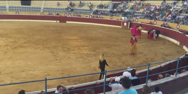 Arena Fox Porn - Swedish porn star jumps into Spanish bullfighting ring to comfort dying  bull | Fox News