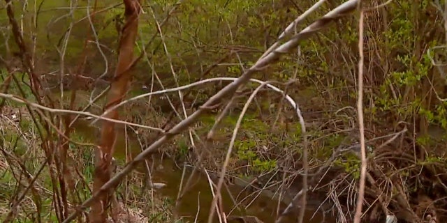 Human remains were discovered in a creek on Saturday during an Earth Day cleanup in an Indianapolis neighborhood.