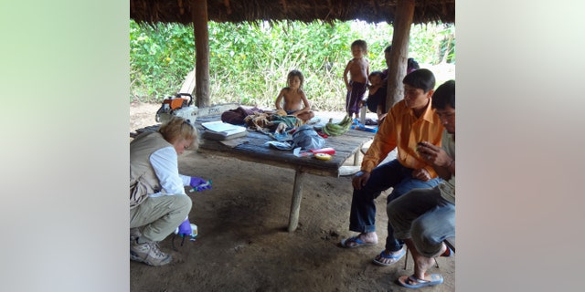 In this photo provided by Science Advances shows microbiologist Maria Gloria Dominguez-Bello, collecting temperature information of the floor at one of the Checherta huts. Whether it's a jungle hut or a high-rise apartment, your home is covered in bacteria, and new research from the Amazon suggests city dwellers might want to open a window. (Humberto Cavallin/ University of Puerto Rico/Science Advance via AP)