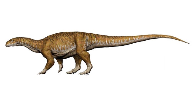 An artist's imagining of Ingentia prima. (Credit: Jorge A. González)