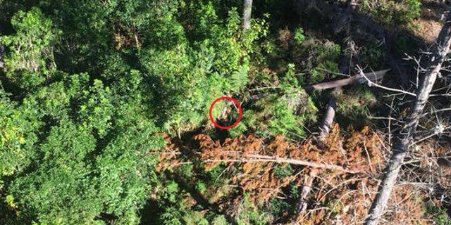 Once spotted, the man was transported via helicopter to a nearby hospital.