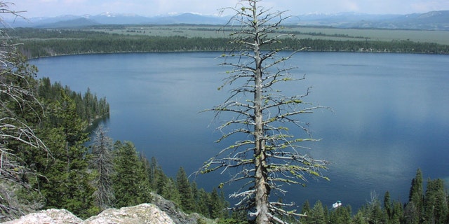 A view of Jenny Lake as seen from Inspiration Point, one of the areas closed by Grand Teton National Park officials.