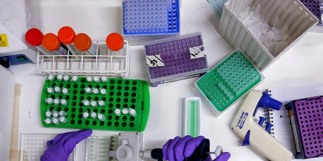 Scientist prepares protein samples for analysis in a lab at the Institute of Cancer Research in Sutton.